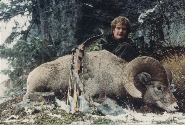 Montana Bighorn sheep